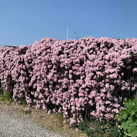 Mysigt Vid Hasmark Semesterbostad