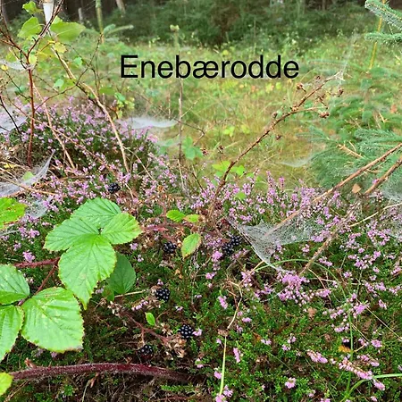 Cozy Near Hasmark * Otterup